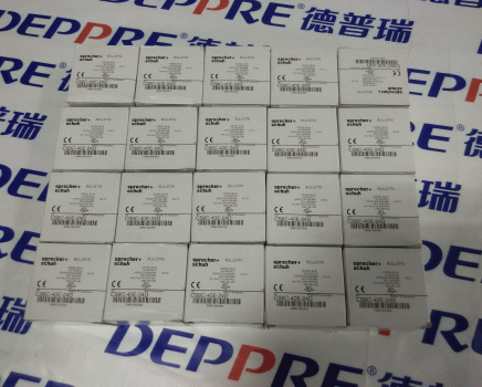 Sprecher+Schuh继电器